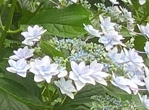 IMG_3244ka