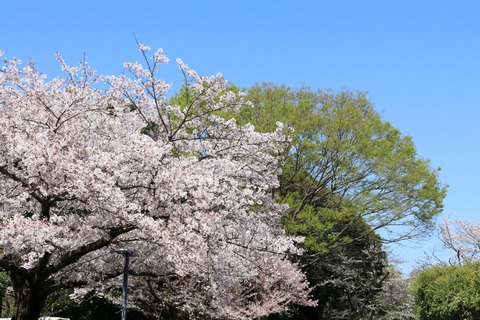 IMG_7968駐車場より