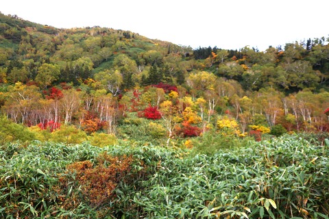 IMG_2132ミズバショウ湿原周辺の山