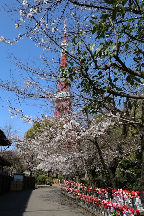 IMG_7176千躰子育地蔵