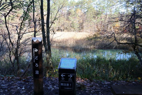 IMG_2976みどろ沼