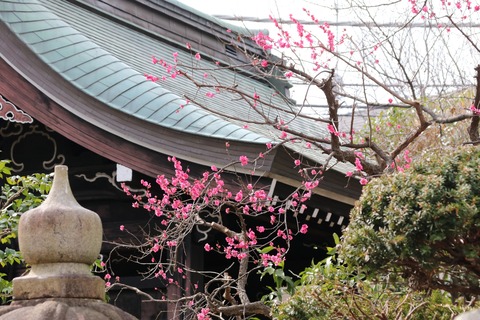 IMG_6424妙法寺