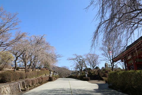IMG_6989富士仏舎利塔平和公園