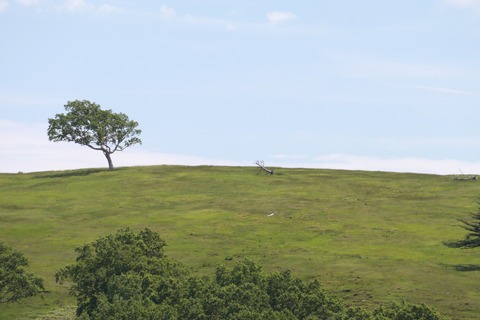 IMG_9968保護センター方面へ向かう