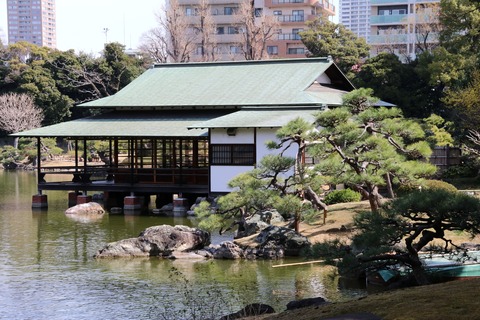 IMG_6736涼亭