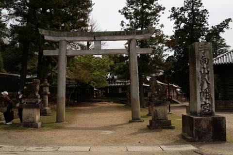IMG_8110手向山八幡宮