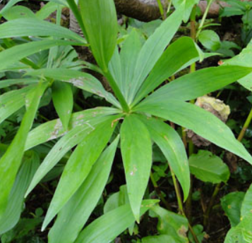 スクリーンショット 2025-07-19 160353