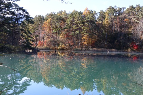 IMG_2959毘沙門沼