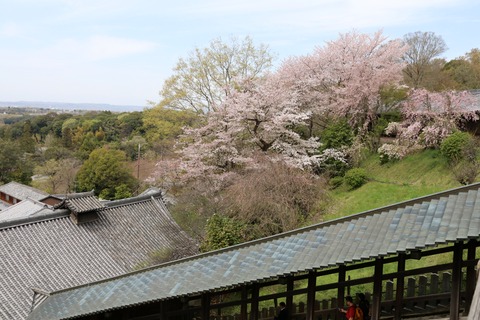 IMG_8090二月堂ベランダより