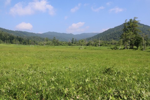 IMG_1192尾瀬ヶ原（上田代）