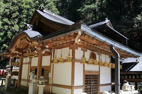 IMG_8614脳天大神