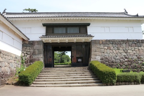 IMG_0508常盤木門