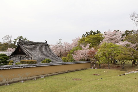 IMG_8261本坊・天王殿