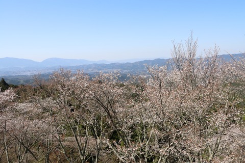 IMG_8670高城山展望台より