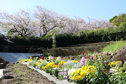 IMG_7812南口広場