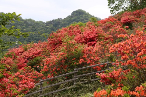 IMG_8919見晴山展望台より下りる