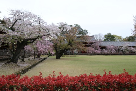 IMG_8197中庭西側