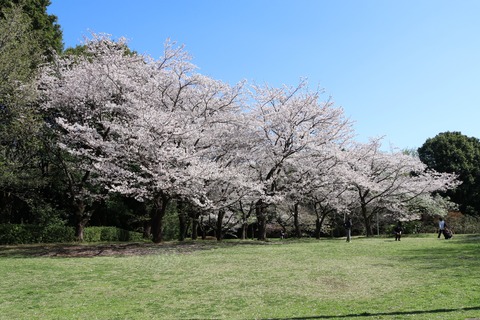 IMG_7822展望広場e