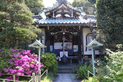 IMG_7153常栄寺(ぼたもち寺)