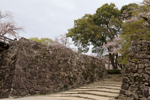 IMG_8464彦根城
