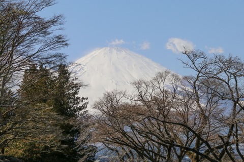 IMG_7001富士仏舎利塔平和公園駐車場より