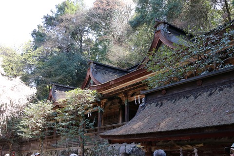IMG_8668吉野水分神社