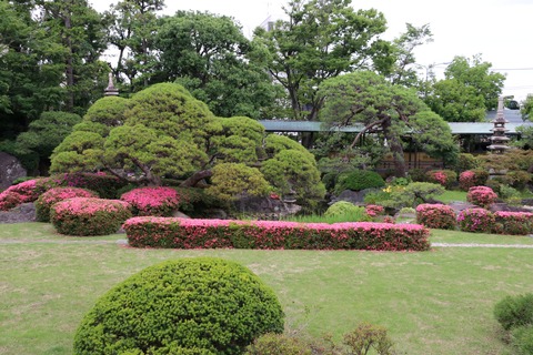IMG_0197遼渓園