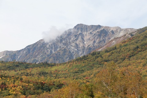 IMG_2226ワタスゲ湿原より白馬岳