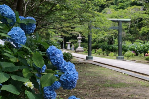 IMG_9431建長寺半増坊道