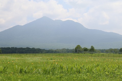 IMG_1329群生するニッコウキスゲと燧ケ岳（中田代）