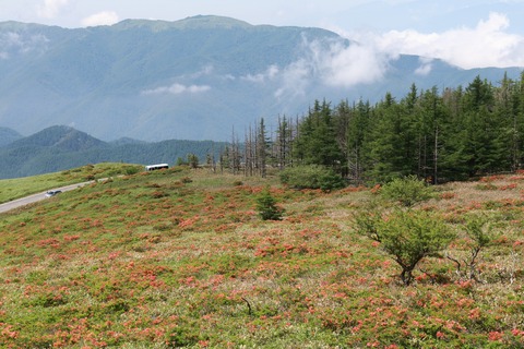 IMG_9924武石峰進行方向麓