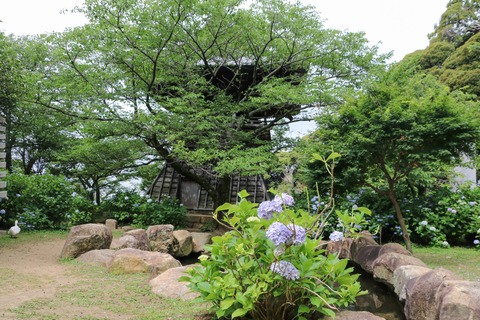 IMG_0618鐘楼堂