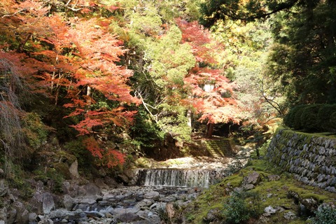 IMG_4201日蓮聖人御廟・御草庵跡