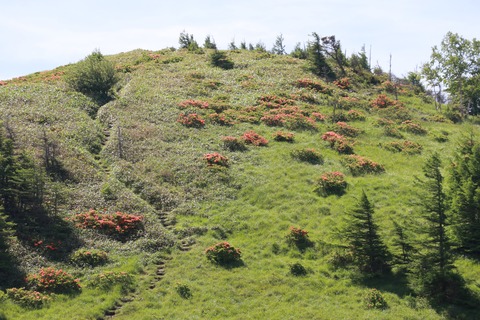 IMG_9865思い出の丘より武石峰