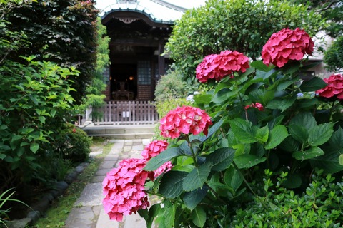 IMG_9292収玄寺