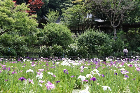 IMG_9023菖蒲池