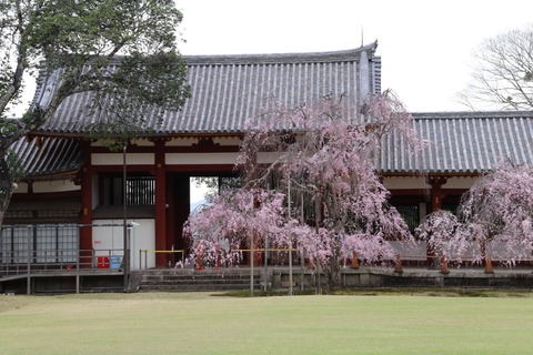 IMG_8198中庭西側