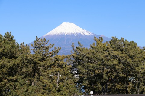 IMG_5205みなと公園より