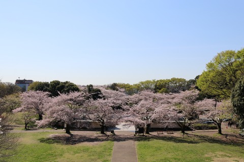 IMG_7819展望広場