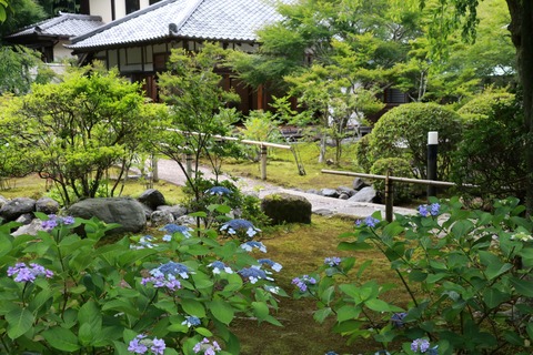 IMG_9525長寿寺