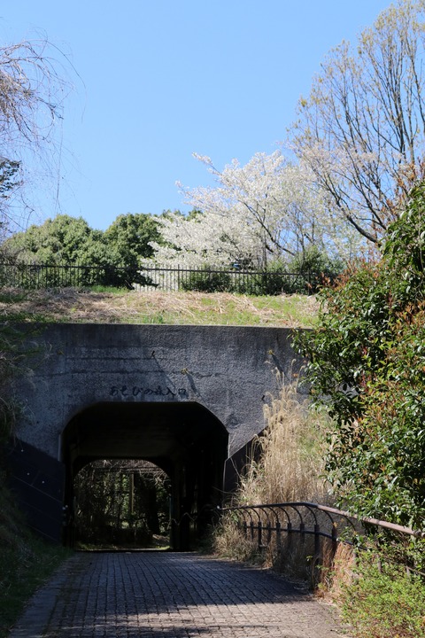 IMG_7946連絡地下通路