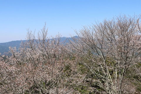 IMG_8672高城山展望台より