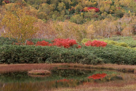 IMG_2329浮島湿原