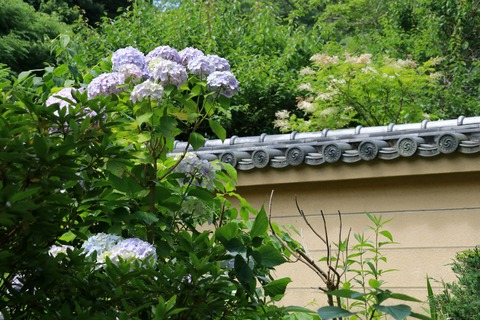 IMG_9287光則寺