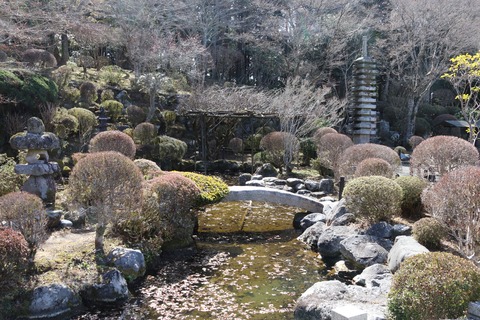 IMG_6996妙法寺庭園
