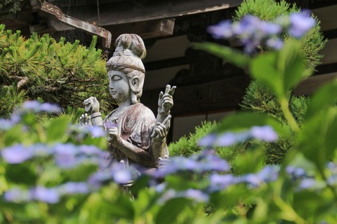 IMG_0664千手観音
