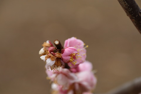 IMG_5844