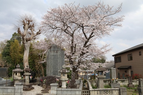 IMG_7746宗円寺