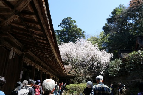 IMG_8667吉野水分神社