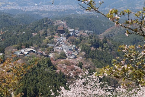 IMG_8657上千本より蔵王堂